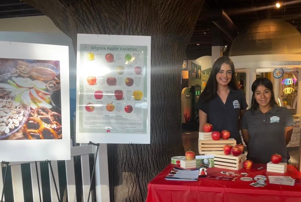“Back to School Bash” at the Explore More Museum