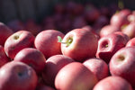 Turkey Knob Growers is now Shenandoah Valley Orchards