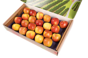Ambrosia