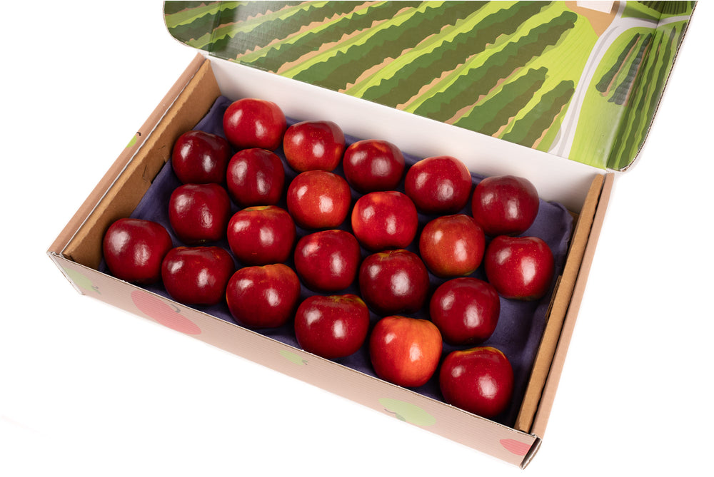 Crimson Crisp