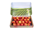 Honeycrisp