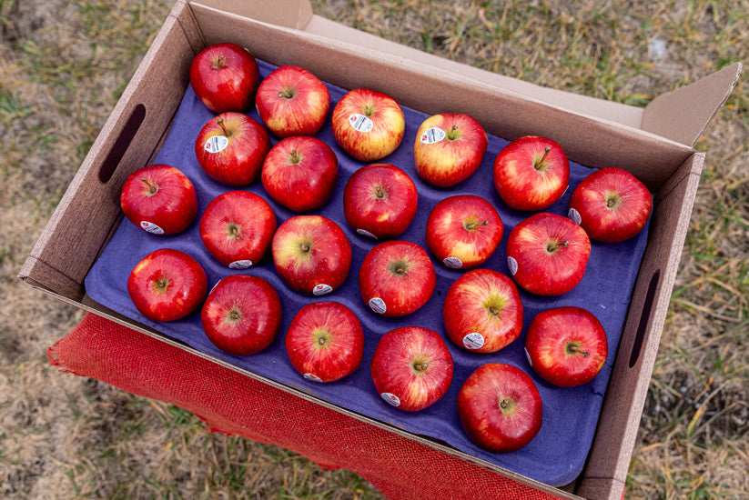 Pink Lady® Shenandoah Valley Orchards