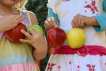 fresh apples northern virginia Shenandoah Valley Orchards