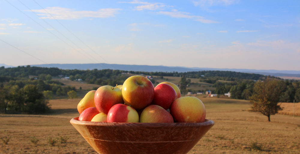 fresh fruit virginia ambrosia apples