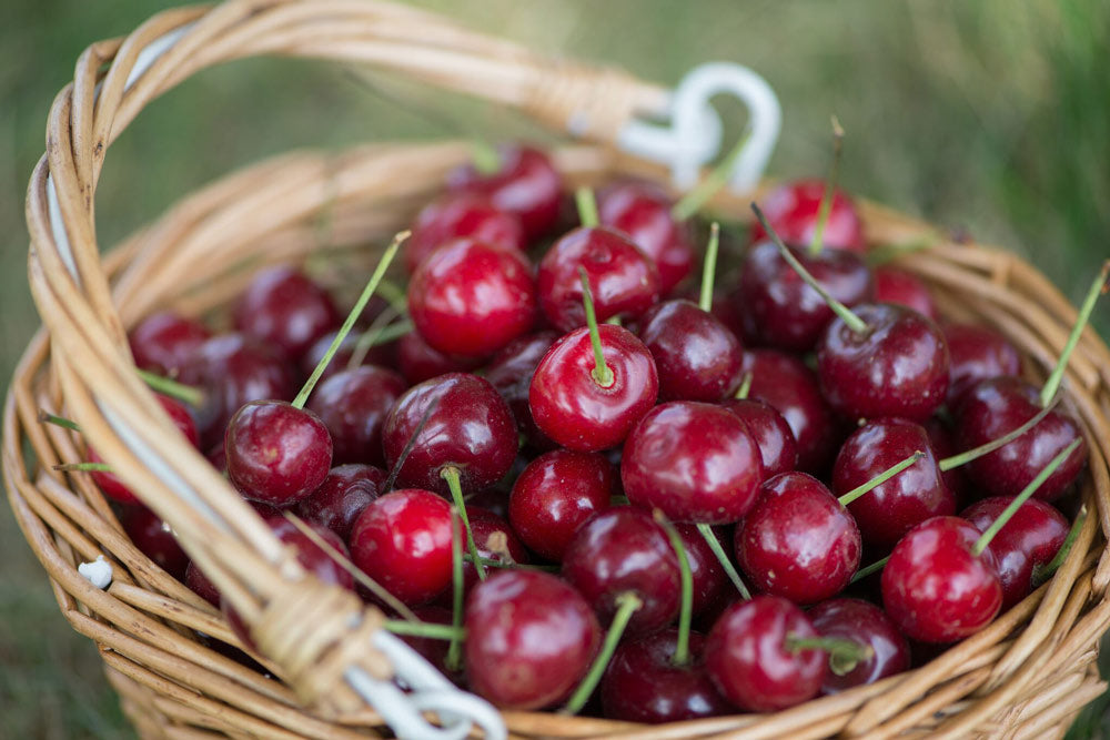 Red Cherries